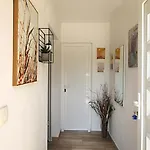 Anda Zara