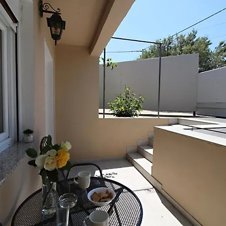 Anda * Zadar